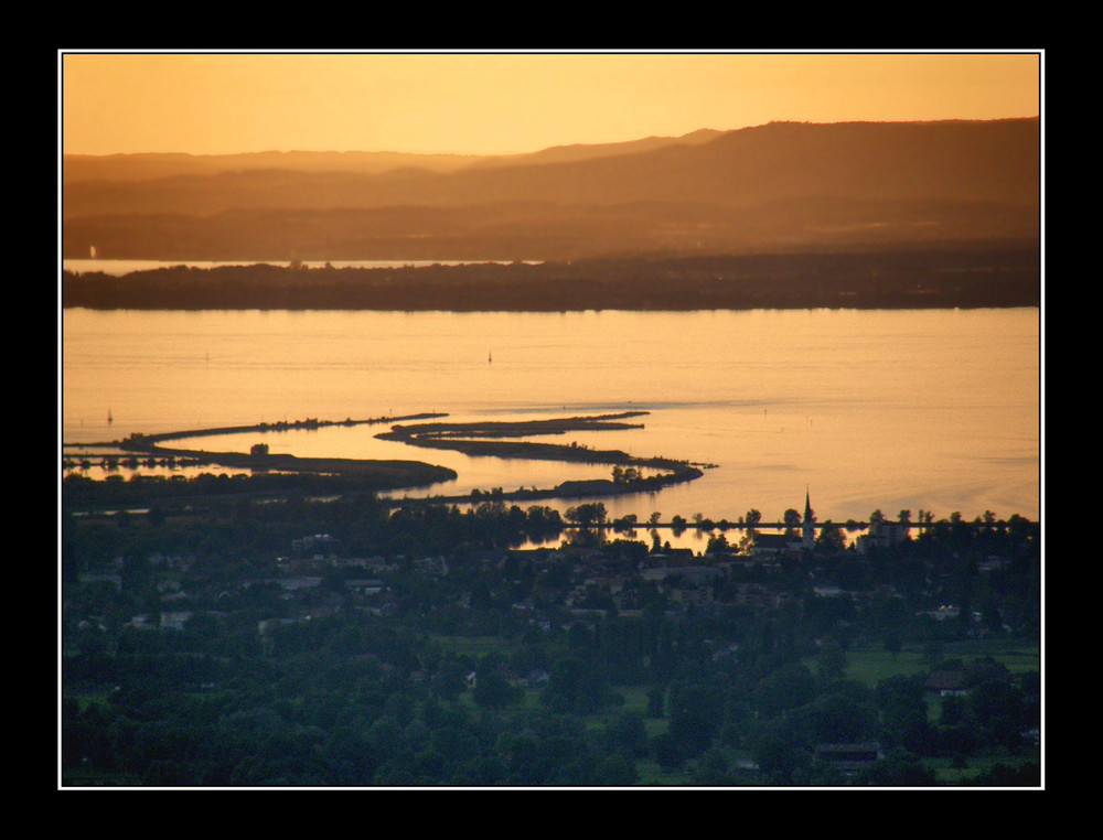 der rhein - im bodesee