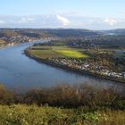 Der Rhein im Herbst