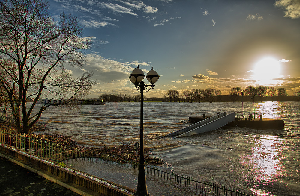 Der Rhein im Hochwasser