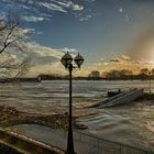 Der Rhein im Hochwasser