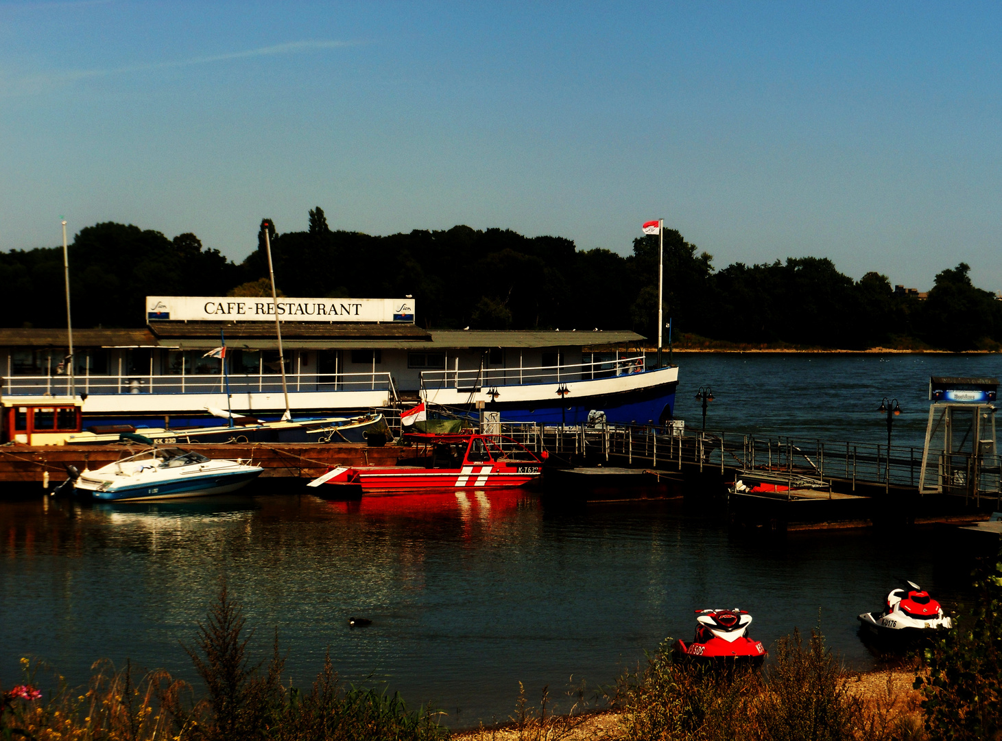 der Rhein im Sommer 2