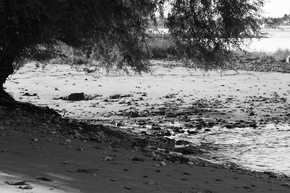 der Rhein im Spätsommer