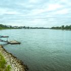 Der Rhein in Bonn