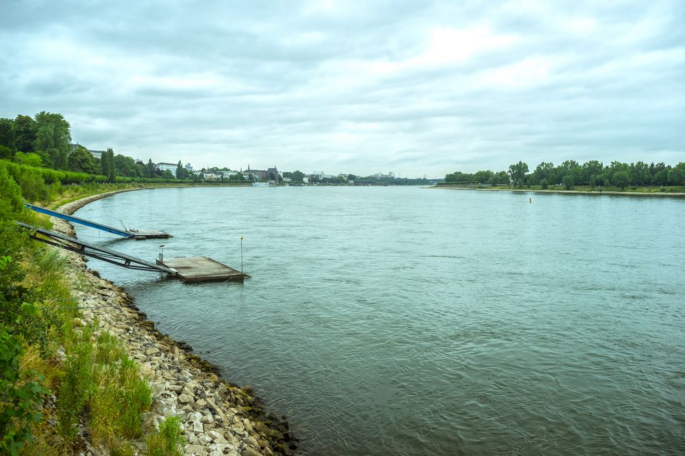 Der Rhein in Bonn