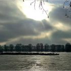 Der Rhein in Düsseldorf