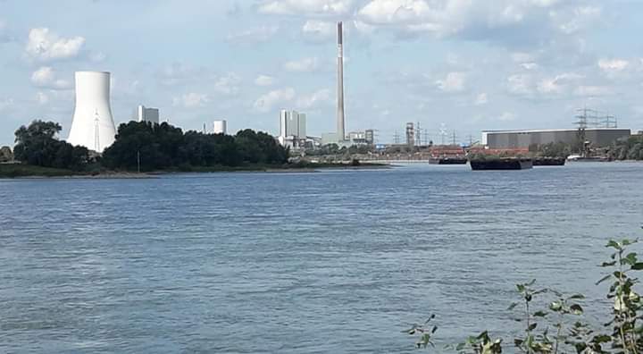 Der Rhein in Duisburg