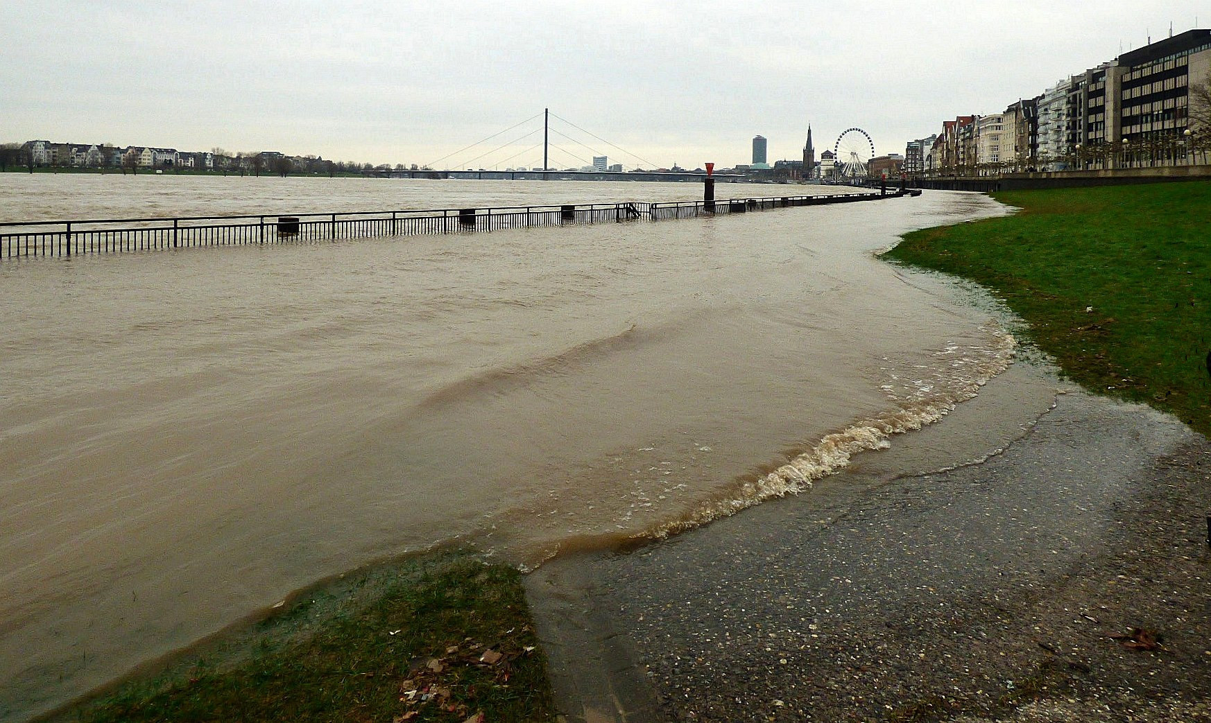 Der Rhein kam mir entgegen 