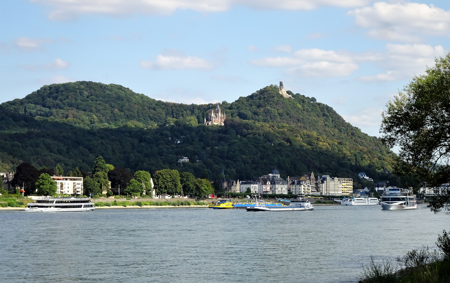 Der Rhein, Königswinter und der Drachenfels