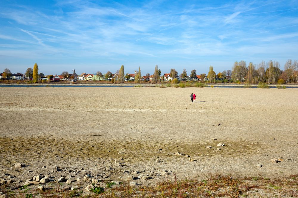 Der Rhein liegt trocken (I)