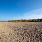 Der Rhein liegt trocken (III)