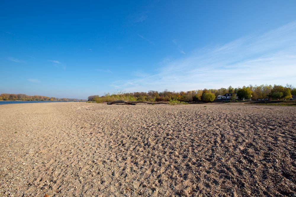 Der Rhein liegt trocken (III)