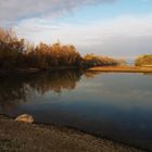 Der Rhein mit Niedrigwasser