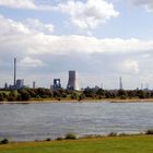 Der Rhein mit seiner Natur und Industrie