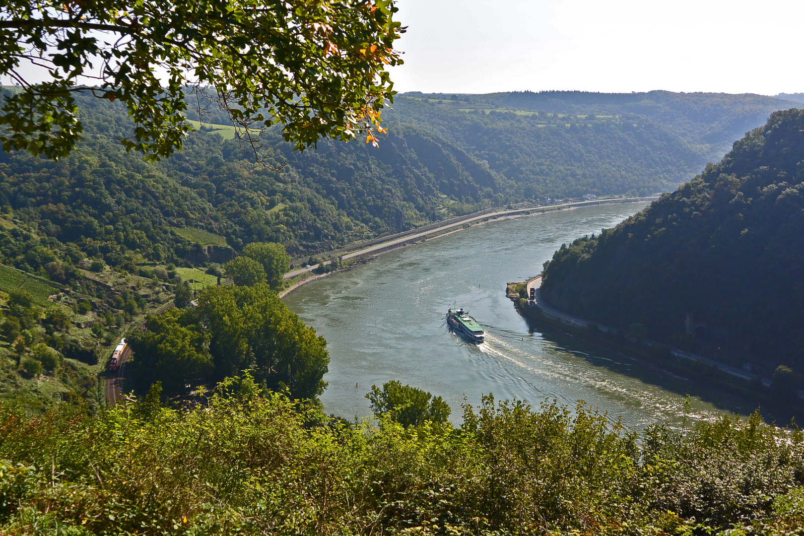Der Rhein mt der Loreleyschleife