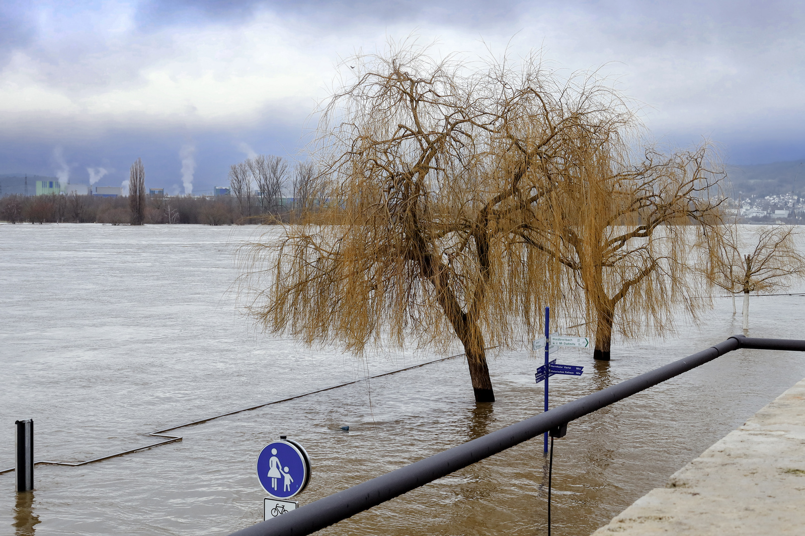 Der Rhein Neuweid