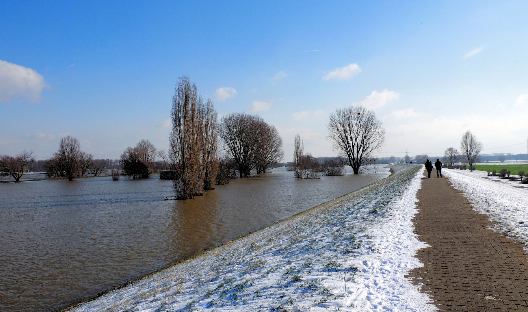 Der Rhein schwappt aus seinem Bett ... 