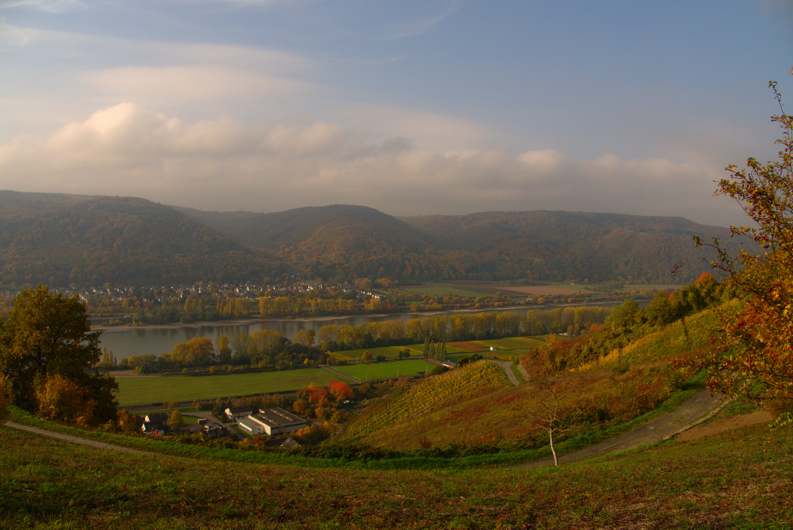 Der Rhein umgeben von Herbstbäumen