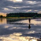 Der Rhein und das Niedrigwasser