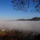 Der Rhein und sein Nebel...