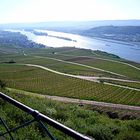 Der Rhein und Weinberg bei Rüdesheim am Rhein.