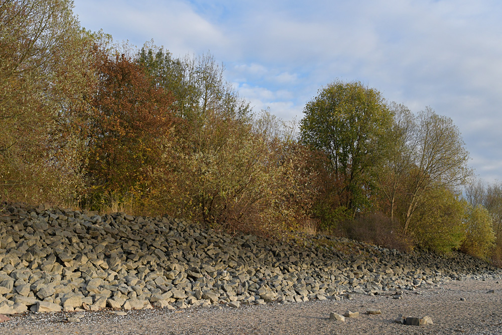 Der Rhein: Weg war er 01