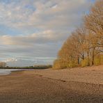 Der Rhein: Weg war er 03