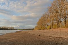 Der Rhein: Weg war er 03