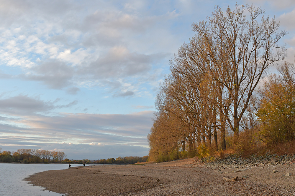 Der Rhein: Weg war er 05