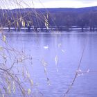 Der Rhein, wieder Deutschlands Perle