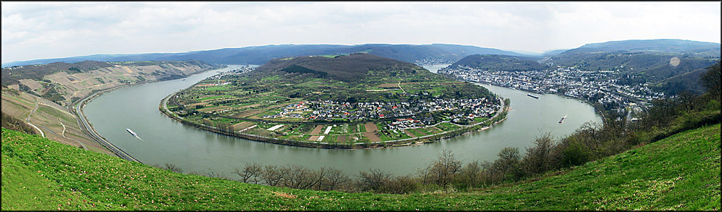 Der Rheinbogen bei Boppard