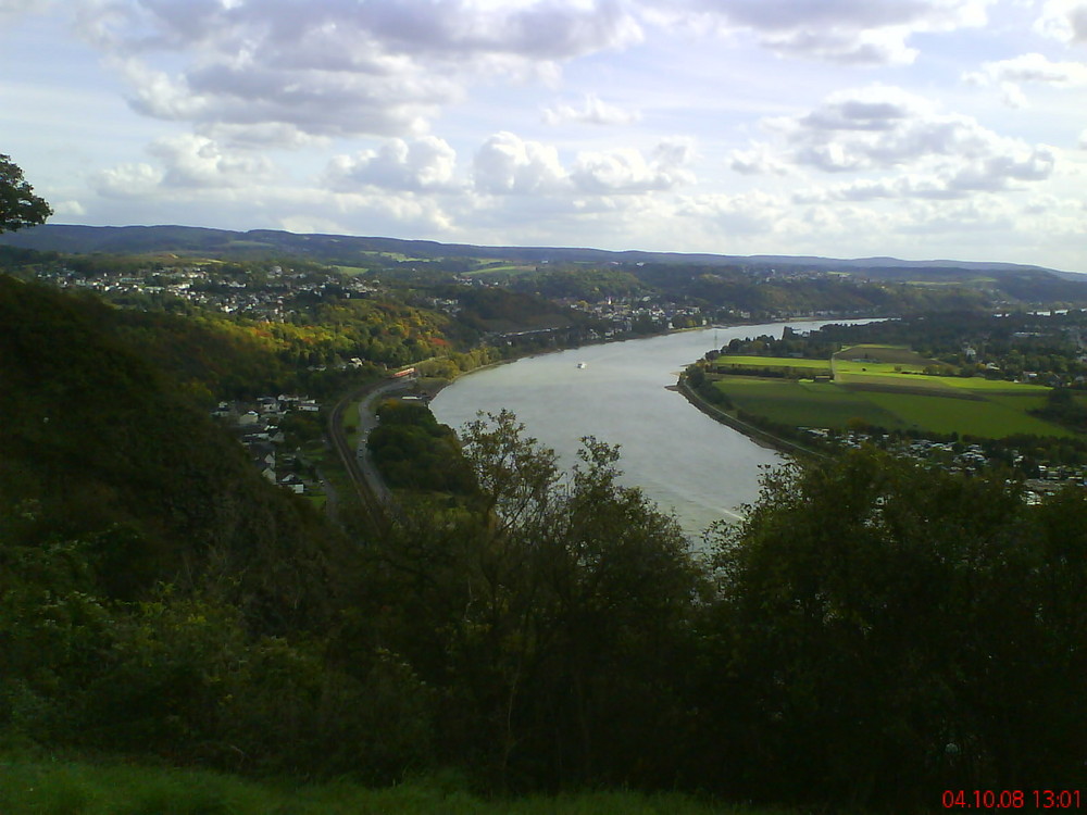 Der Rheinbogen bei Linz