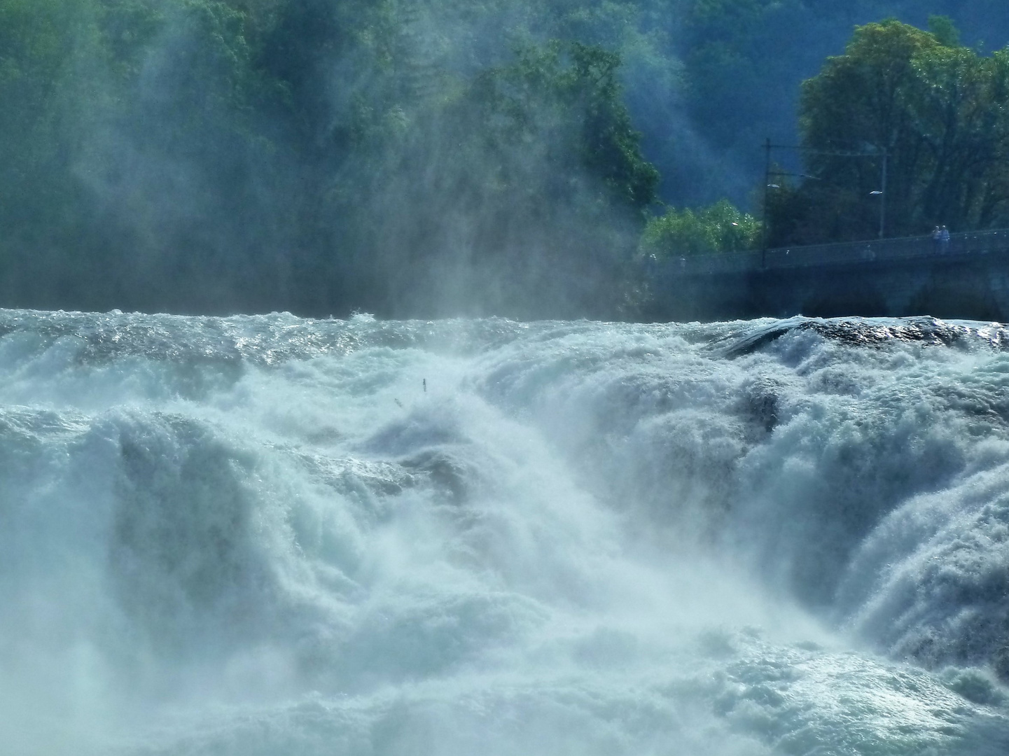 Der Rheinfall  1