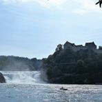 Der Rheinfall  2