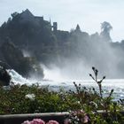 Der Rheinfall bei Neuhausen (Schaffhausen).