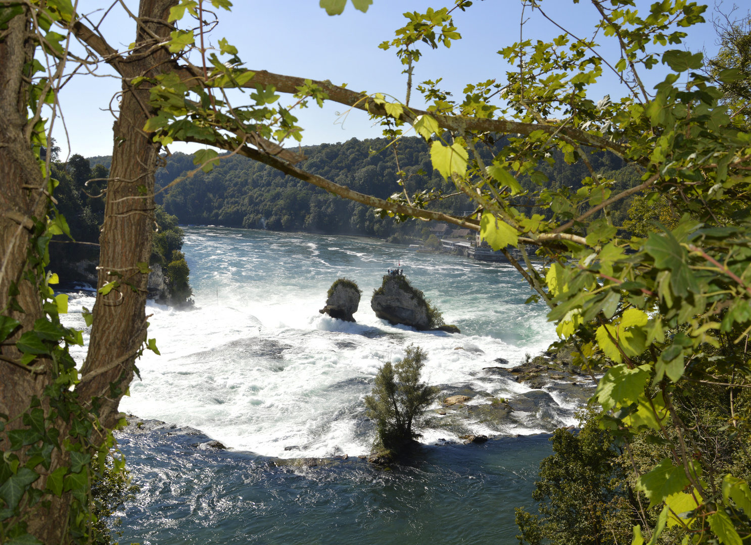 Der Rheinfall bei Schaffhausen