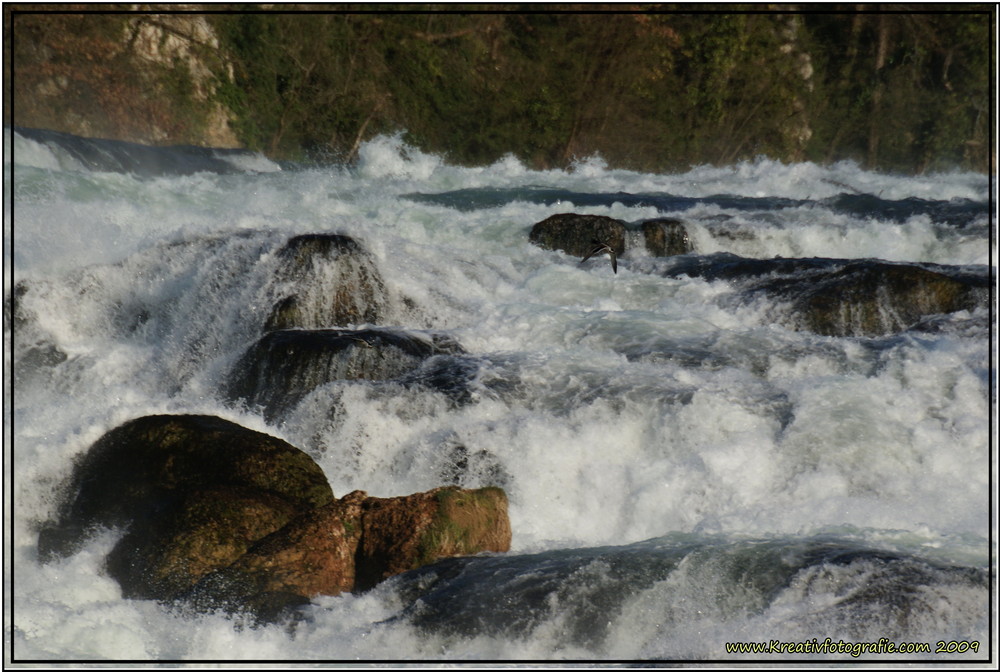 Der Rheinfall, der kein Reinfall war !!