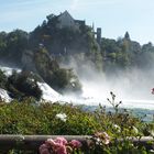 Der Rheinfall