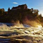 Der Rheinfall in Schaffhausen