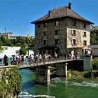 Der Rheinfall - Pflichtprogramm für Bodenseeurlauber