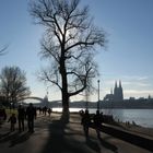 Der Rheinpark im Winter