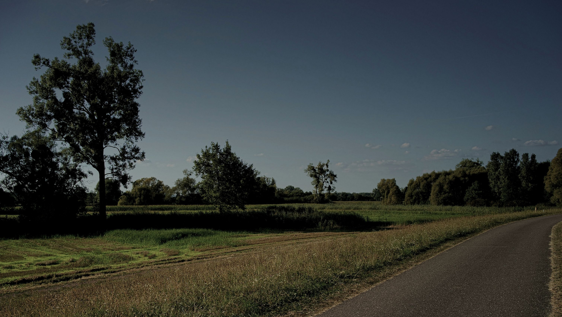 Der Rheinradweg in der Pfalz.