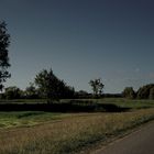 Der Rheinradweg in der Pfalz.