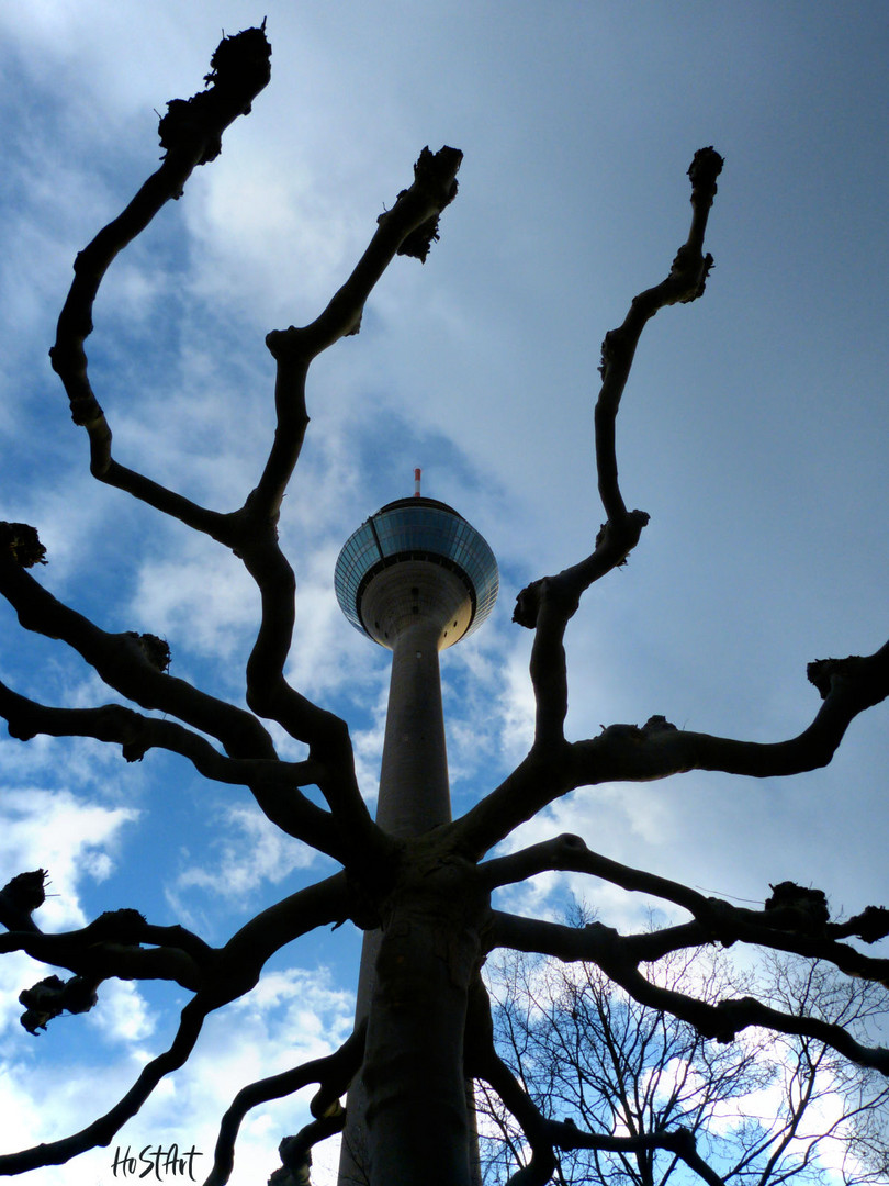 Der Rheinturm wächst in den Himmel