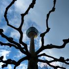 Der Rheinturm wächst in den Himmel