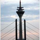 Der Rheinturm zwischen der Rheinknie