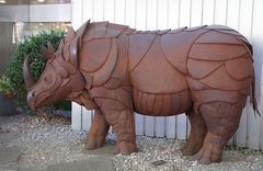 ..der Rhino..