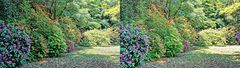 Der Rhododendron-Park Schloss Heltorf Mai 2018 Bild 2