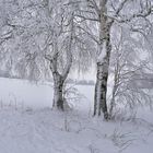 der Rhön-Winter....