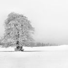 der Rhönwinter...