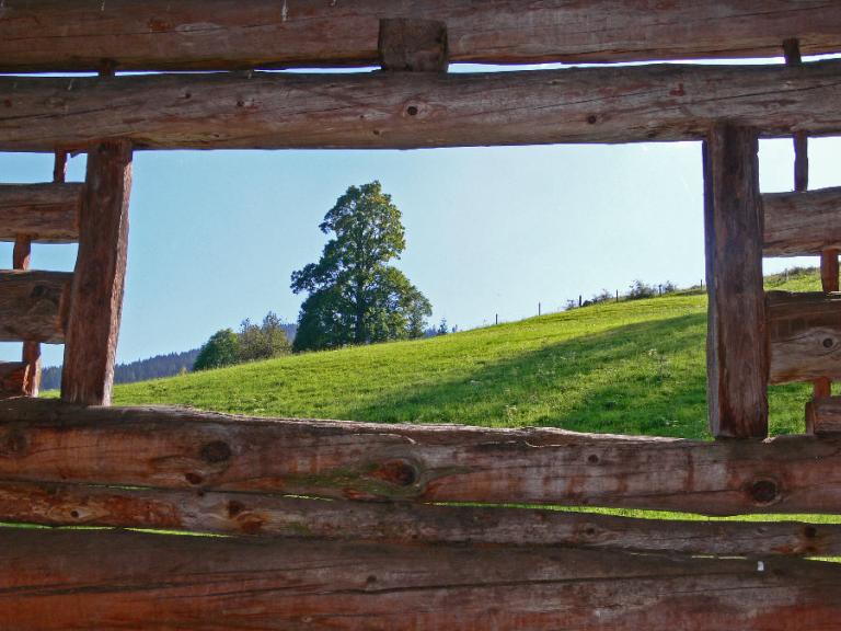 Der richtig Durchblick